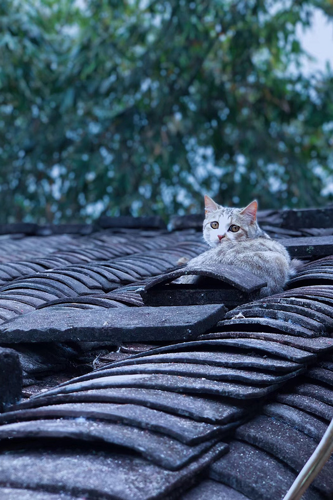 2018 photo 1203