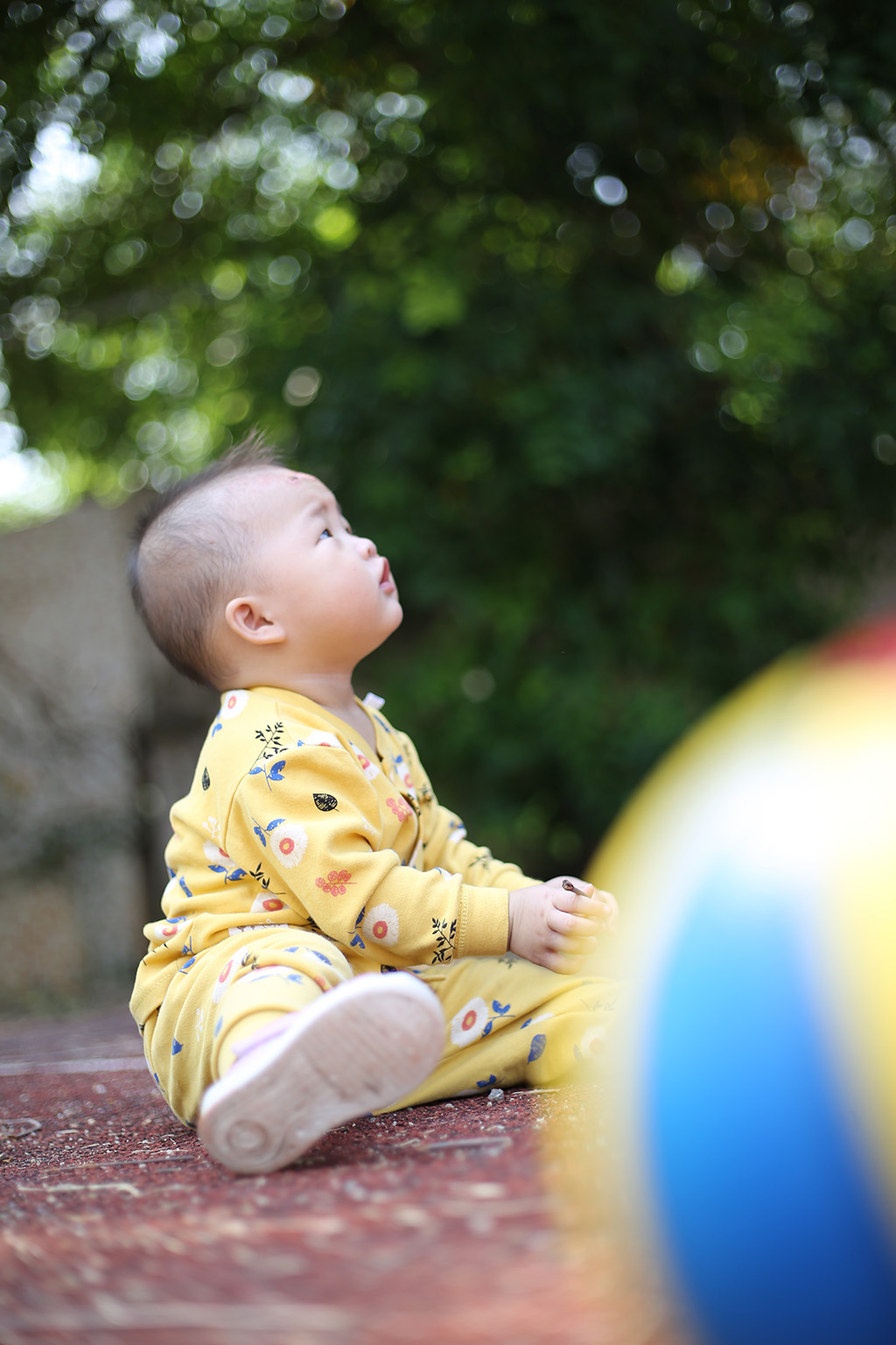 2019 photo 1003