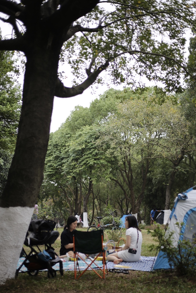 2020 photo 1101