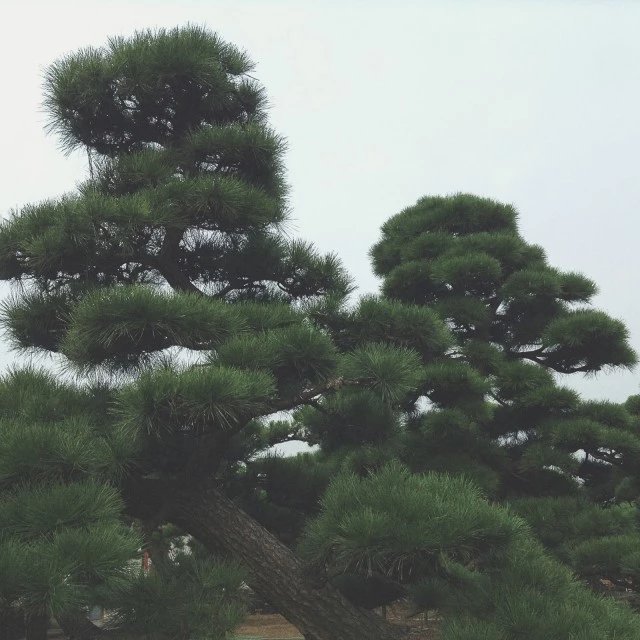 undefined photo 2
